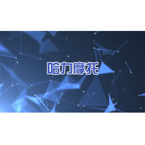 哈力摩托游樂(lè)設(shè)備