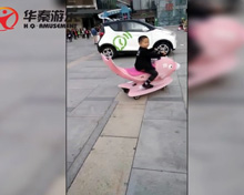 寧波萬達(dá)廣場(chǎng)鯉魚飛車項(xiàng)目