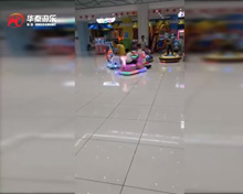 廣西賀州呆萌鼠項目